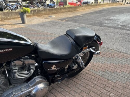 Harley-Davidson Sportster 883 - immagine 13