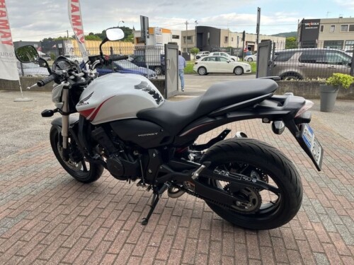 Honda Hornet - immagine 11