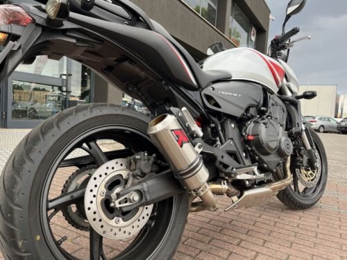 Honda Hornet - immagine 8
