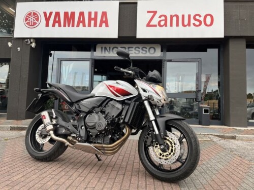 Honda Hornet - immagine 4