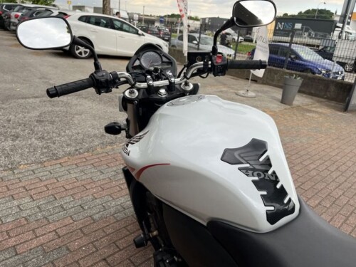 Honda Hornet - immagine 10