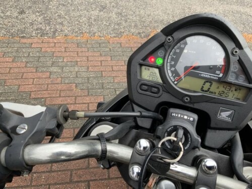 Honda Hornet - immagine 6