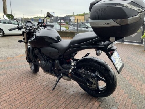 Honda Hornet - immagine 4