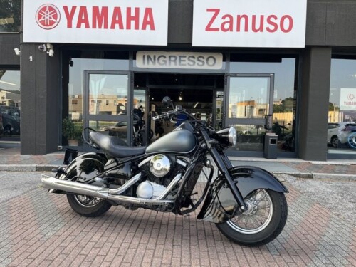 Kawasaki VN 800 - immagine 2