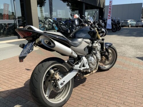 Honda Hornet - immagine 5