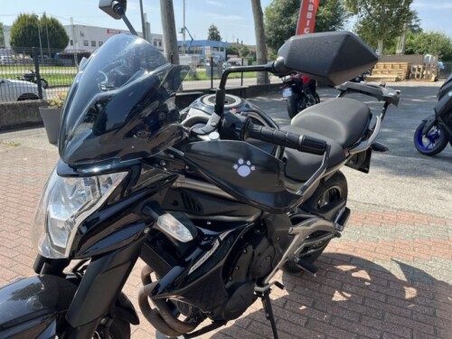 Kawasaki ER 6N - immagine 14