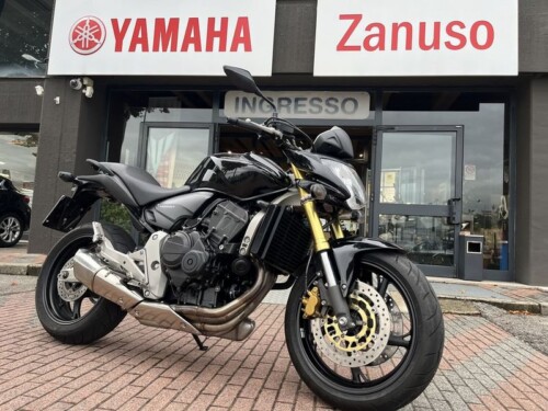 Honda Hornet - immagine 6