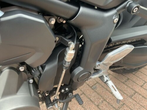 Triumph Trident 660 - immagine 5