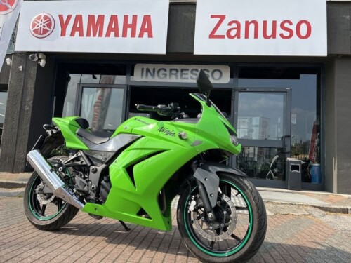 Kawasaki Ninja 250R - immagine 4