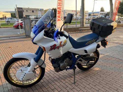 Honda NX 650 Dominator - immagine 13